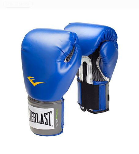 Everlast Boxing Gloves